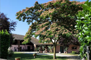 Cascina in Oltrepo con parco e scuderie