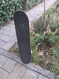 Skateboard