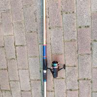 canna da pesca Daiwa 