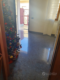 Ufficio viale aldo moro