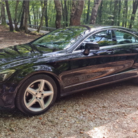 Mercedes CLS 250 4 MATIC BLUETECH