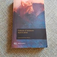libro Notturno di Gabriele D'Annunzio 