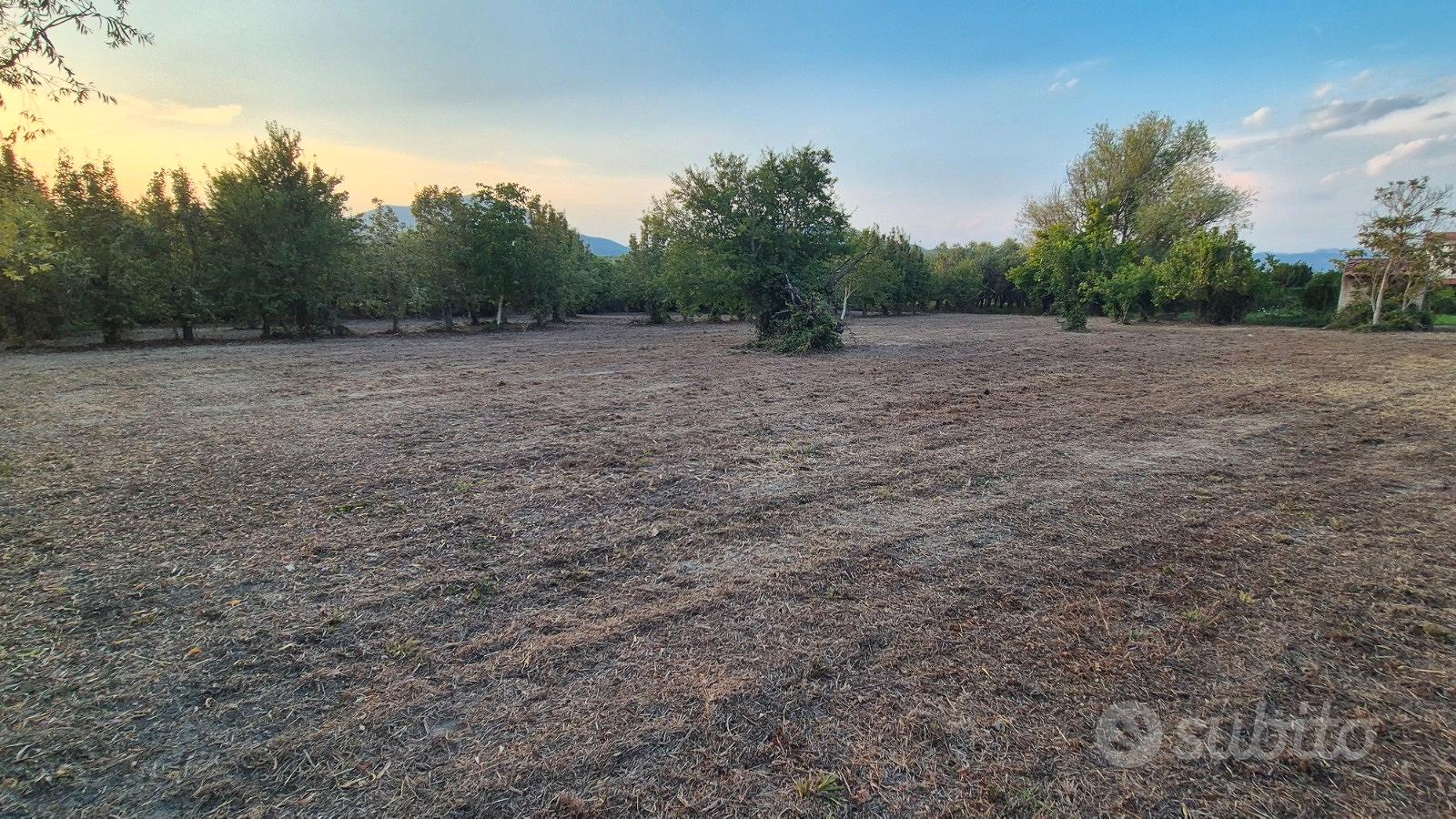Terreno agricolo 2.462 mq con deposito di 14mq - Vista 2