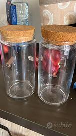 Contenitori in vetro