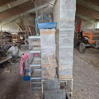 ultime gabbie rimaste