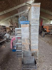 ultime gabbie rimaste