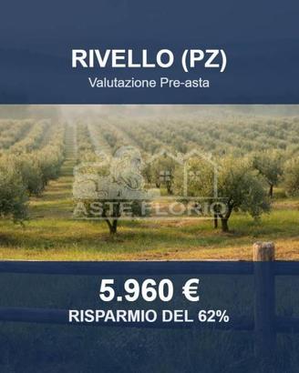 Immobile in asta di 1974 m² a Rivello