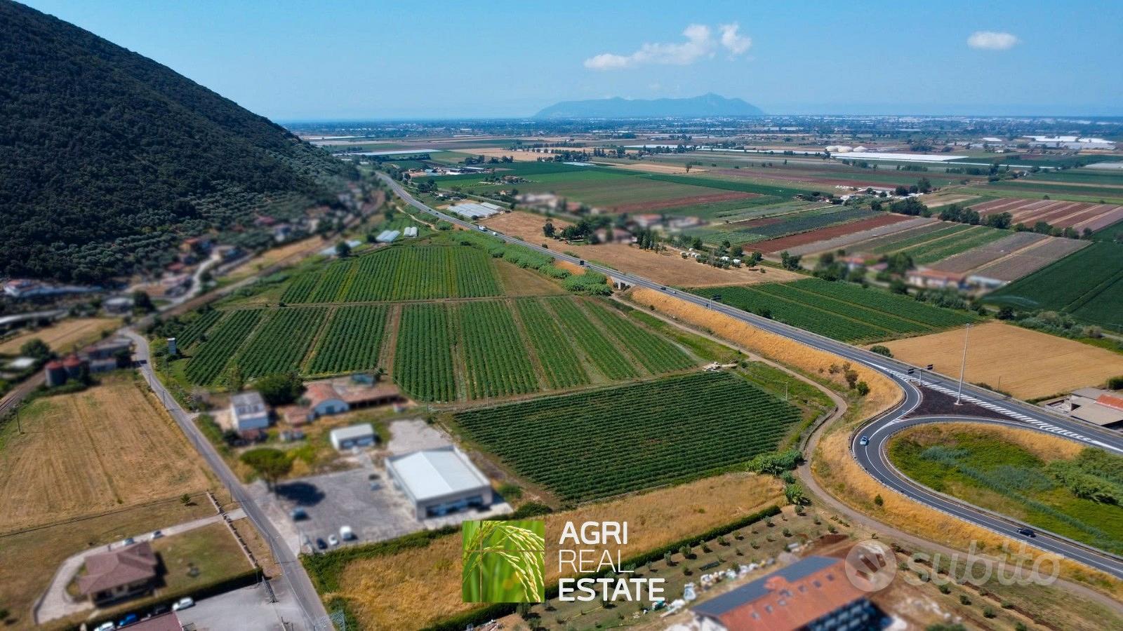 Terreno agricolo pianeggiante di 10 ettari - Vista 2