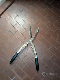 forbici potatura forbicioni
