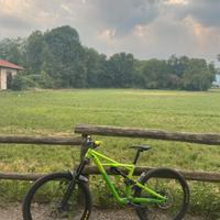 Specialized enduro 2017