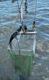 idrorasca x pesca