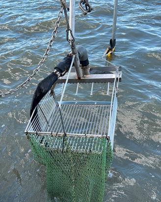 idrorasca x pesca
