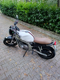 Suzuki GS500 2003 Scrambler