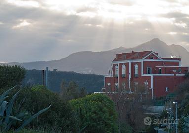 Procida tra cielo,sole,mare casa+terrazza 50mq