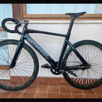 Giant Omnium