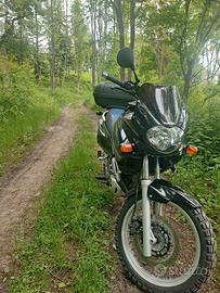 Suzuki XF Freewind 650 - 2001