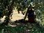 Immagine 13