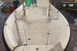 Fuego 4,50 m con Yamaha 25 cv