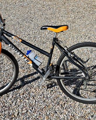 Mountain Bike donna