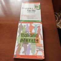 libro di italiano del biennio del Liceo artistico 