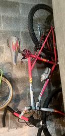 Mountain bike legnano cerchi 26”