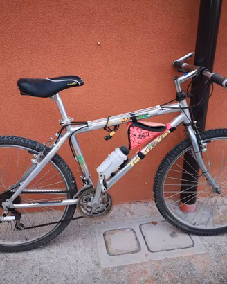 MOUNTAIN BIKE