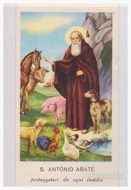 Santino - Sant'Antonio Abate.94