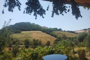 Porzione di terreno multiuso