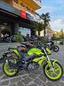 benelli-bn-125-sport