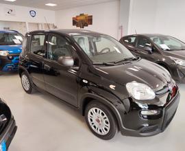 Fiat Panda 1.0 FireFly S&S Hybrid km0