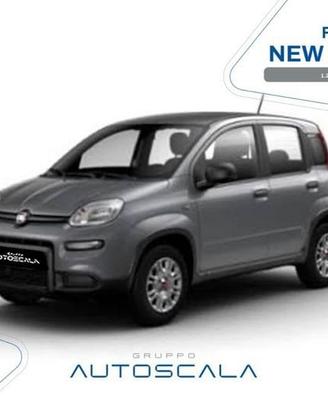 FIAT Panda New 1.2 69cv Easy