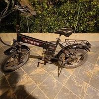 Bicicletta elettrica enguie EP2