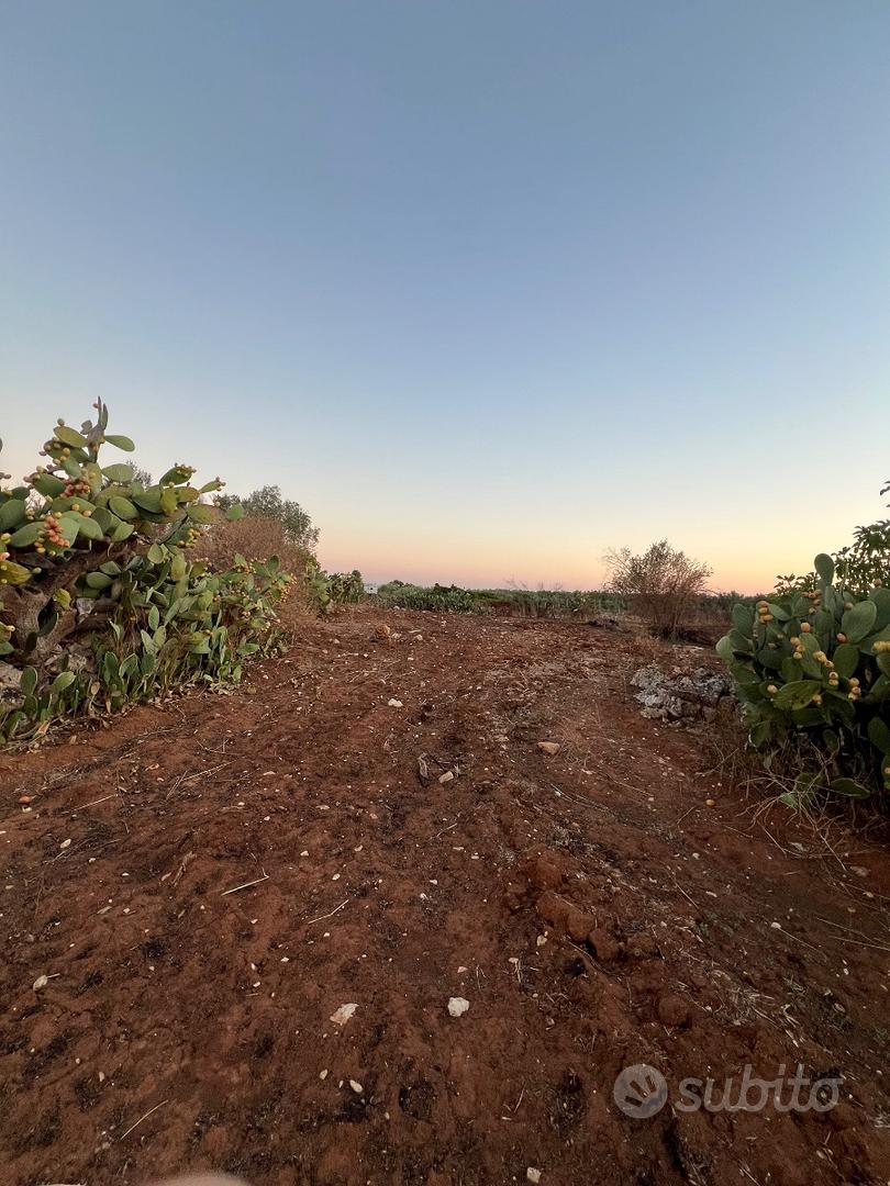 Terreno agricolo 50aree circa 4500 - Vista 5