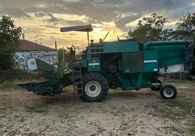 Arbos lince 100