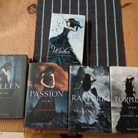 Saga di Fallen 