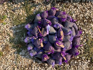 Lavanda 2026 produzione propria.