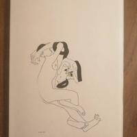 Disegni di Adolfo Wildt 1868-1931 Scheiwiller 1988