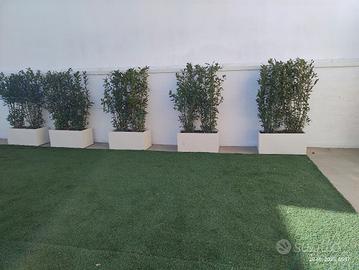 vasi Deroma più alloro 