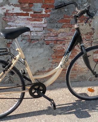 bicicletta da riparare 