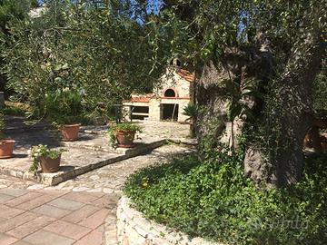 Case vacanze Terra di ulivo