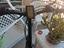 Immagine 4