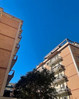 Cagliari Piazza Giovanni appartamento 200mq