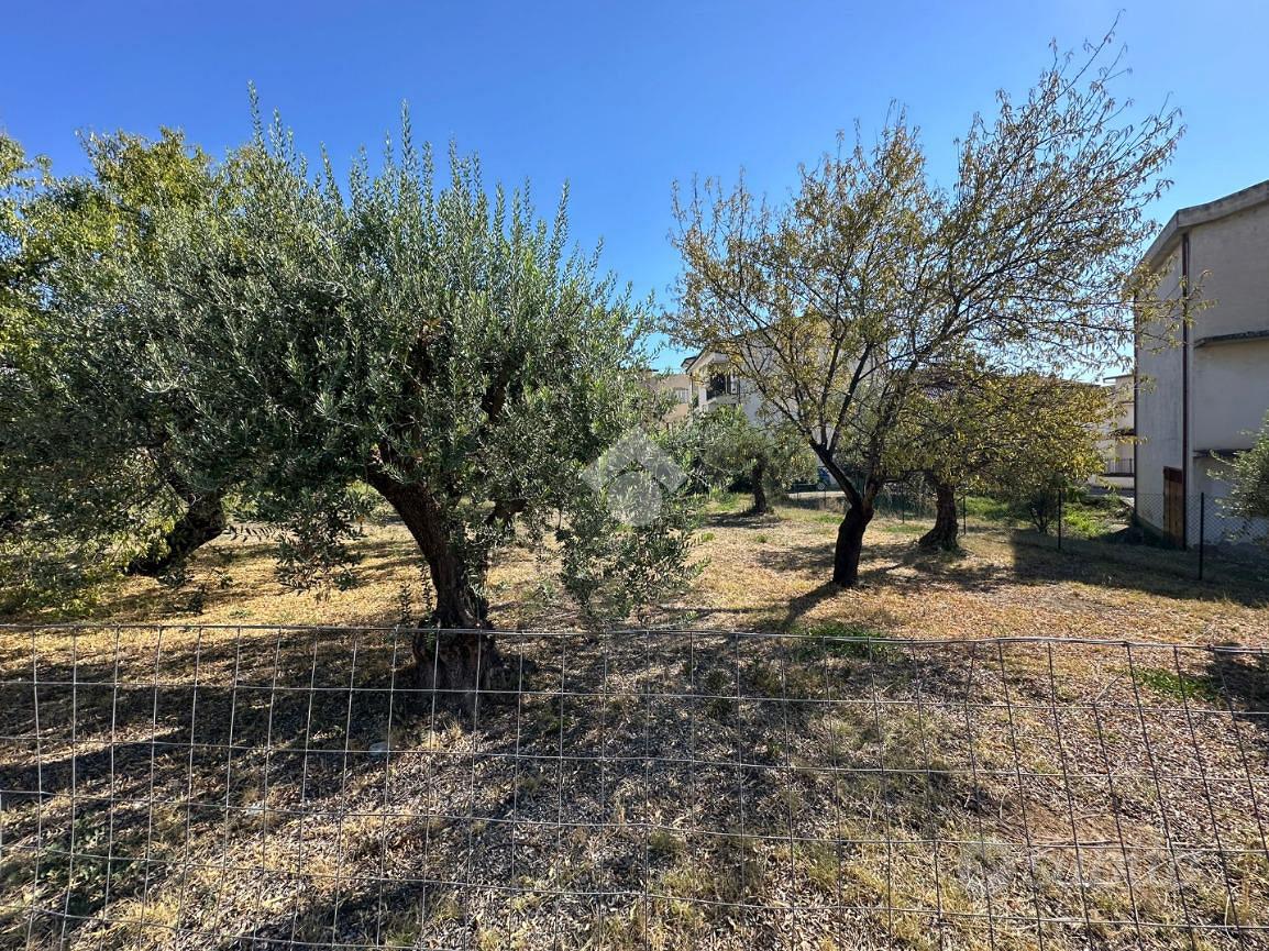 TER. RESIDENZIALE A TREBISACCE - Vista 4