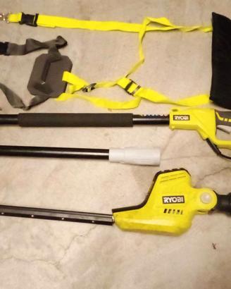 RYOBI - Tagliasiepi ad asta elettrico con spazzole