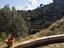 Immagine 20