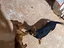 Immagine 6