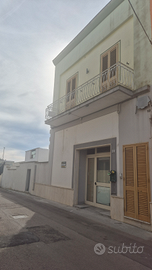 Appartamento piano terra più primo piano