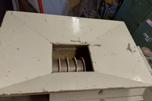Torchio continuo per uva