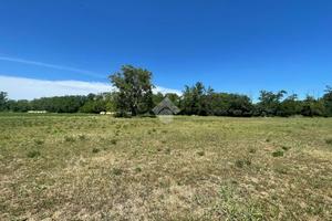 TER. AGRICOLO A FONTEVIVO