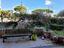 Immagine 7